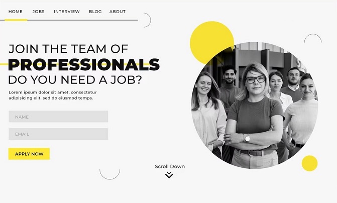 Job Portal web design